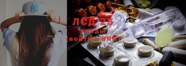 эйфоретик Алексин