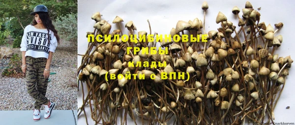 apvp Абаза