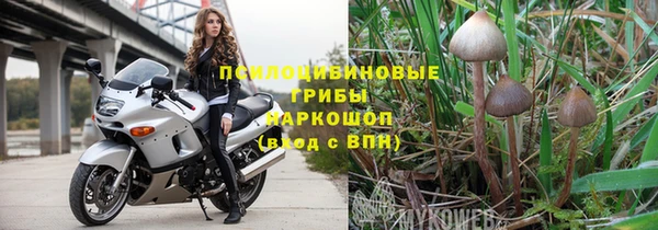 эйфоретик Алексин