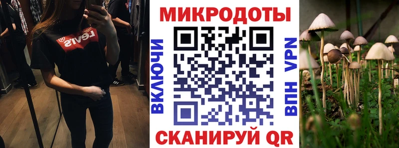 Галлюциногенные грибы Psilocybe  даркнет сайт  Салават 